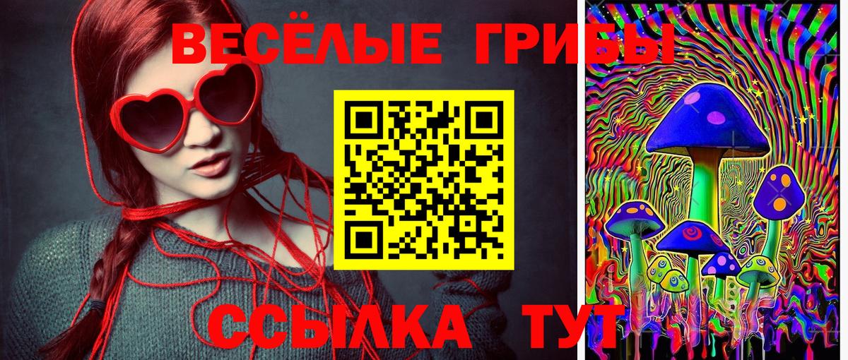 Назрань  Псилоцибиновые грибы Psilocybine cubensis  Вход с VPN  сколько стоит  Псилоцибиновые грибы Psilocybe 